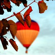 Picture Of Balloon And Nature